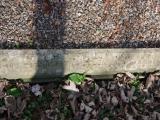 image of grave number 945911